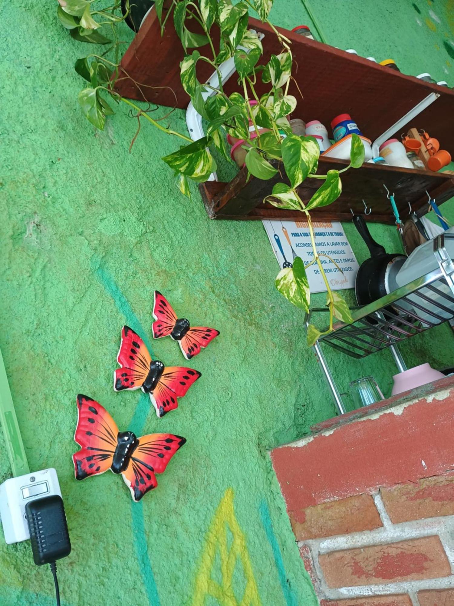 Renovo Beija-Flor Hostel E Espaco Terapeutico 베르치오가 외부 사진